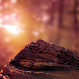 background russet terea tranzitie